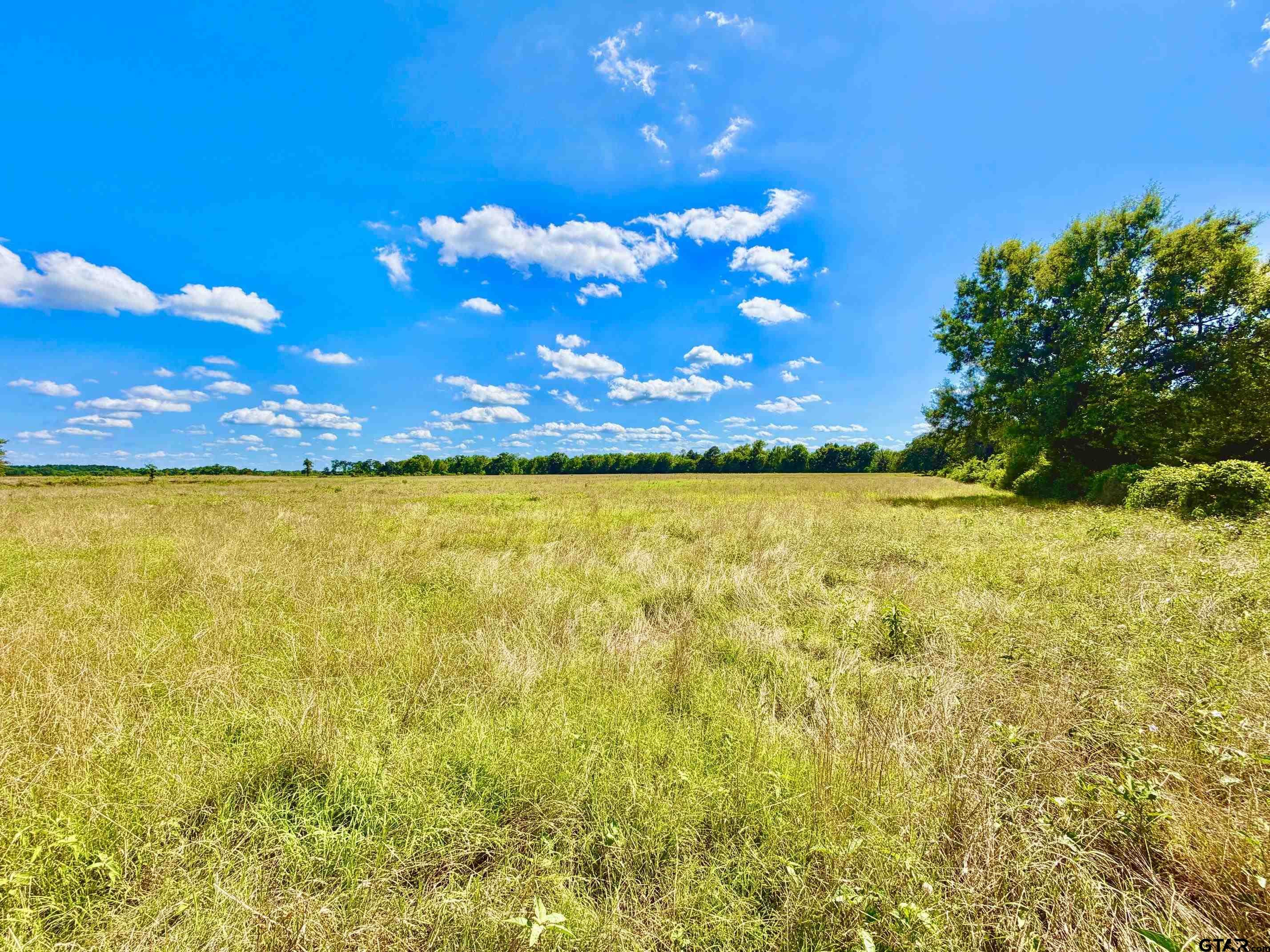 TBD Cooper Settlement Road