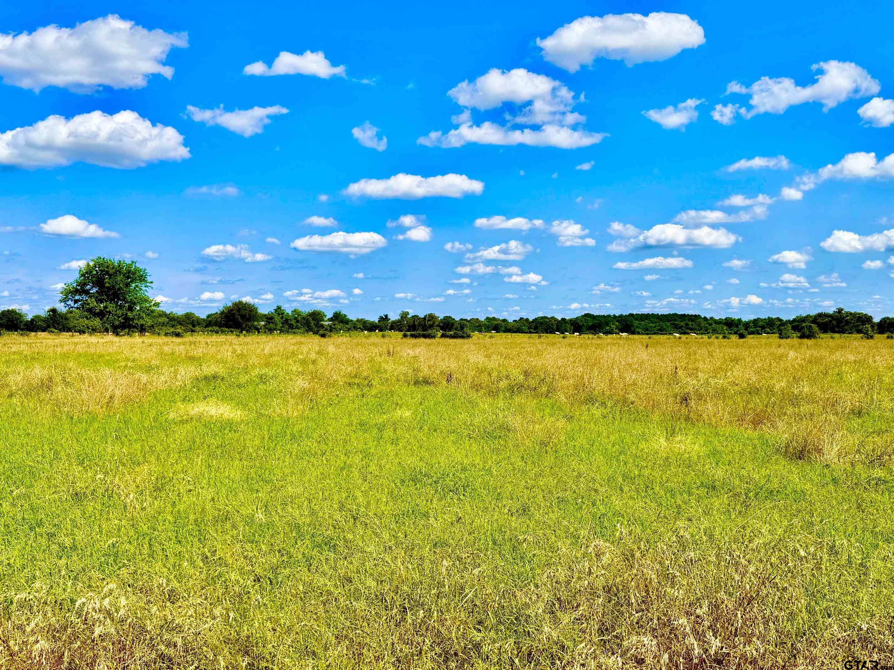 TBD Cooper Settlement Road