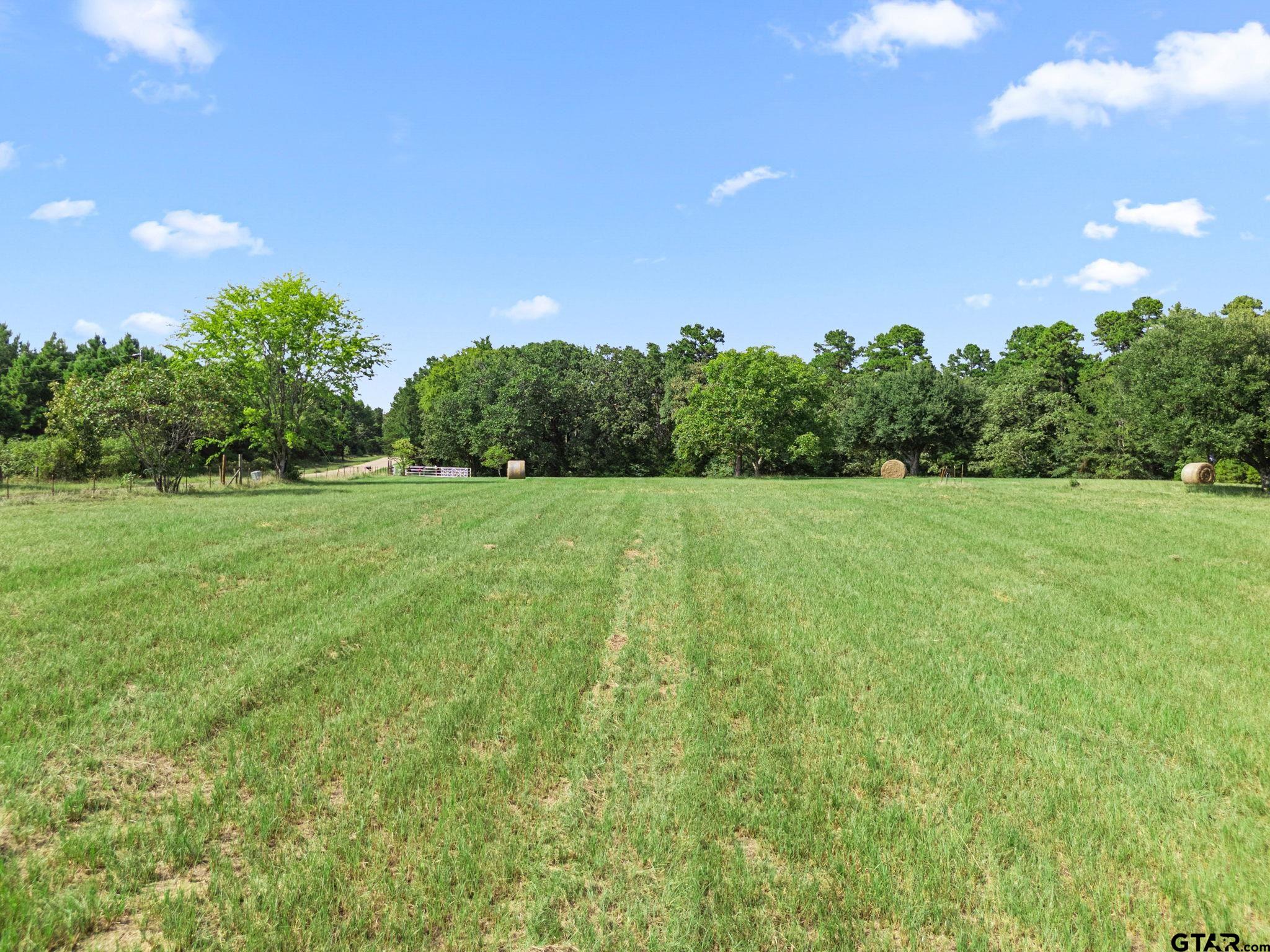 1081 County Road 3875