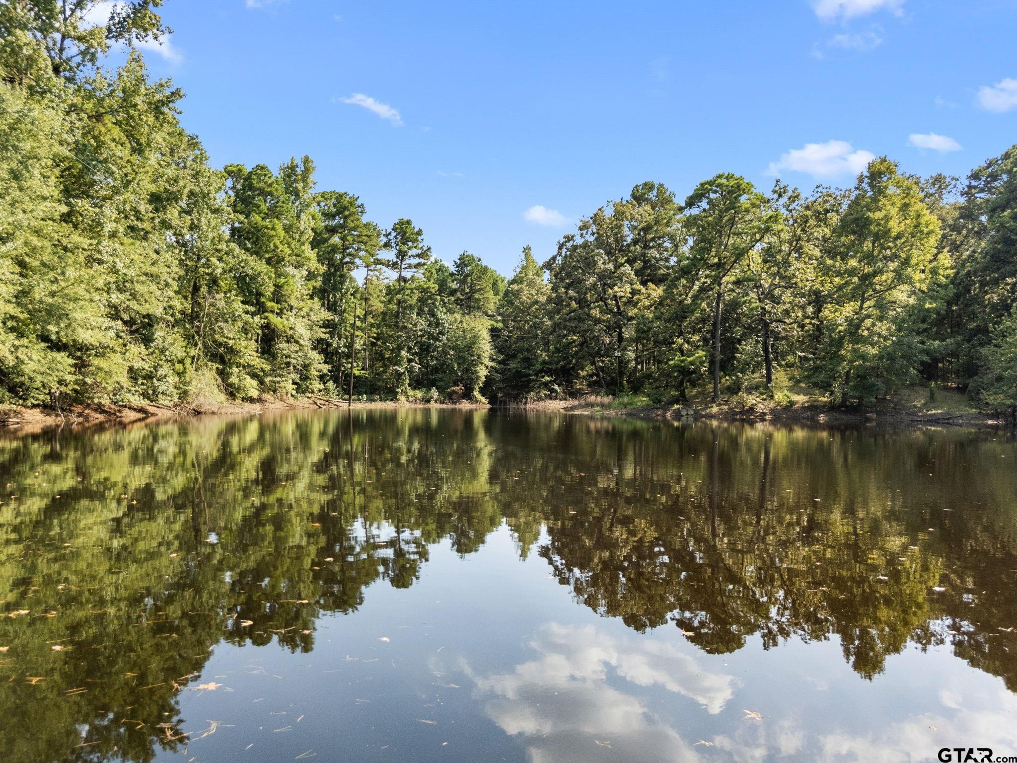 1081 County Road 3875