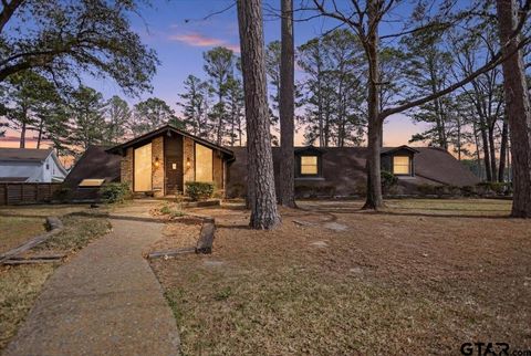 16835 Cardinal Lane Troup TX 75789