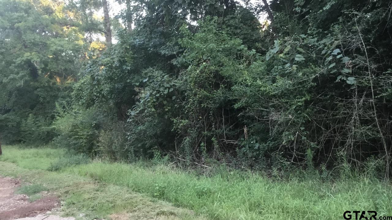 TBD County Road 4105