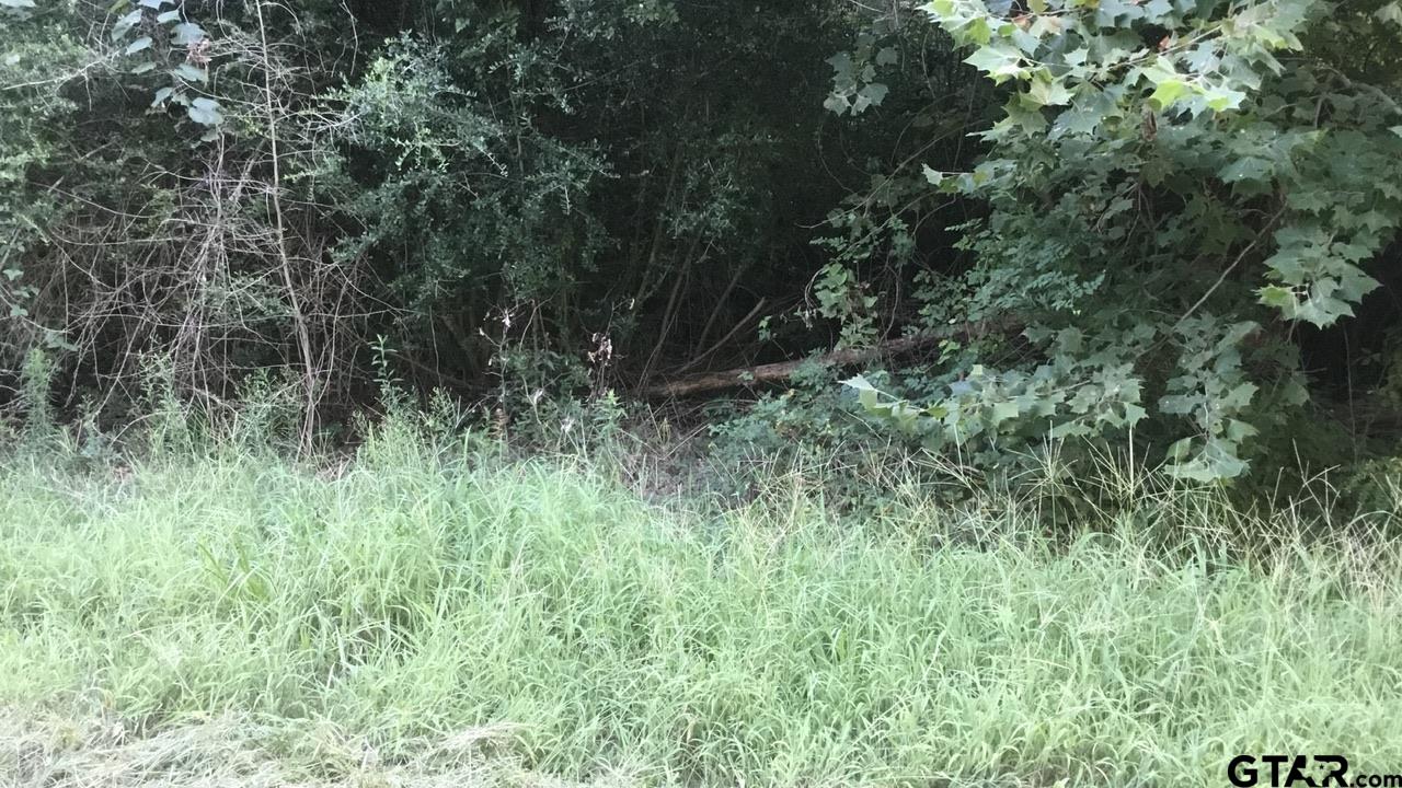 TBD County Road 4105