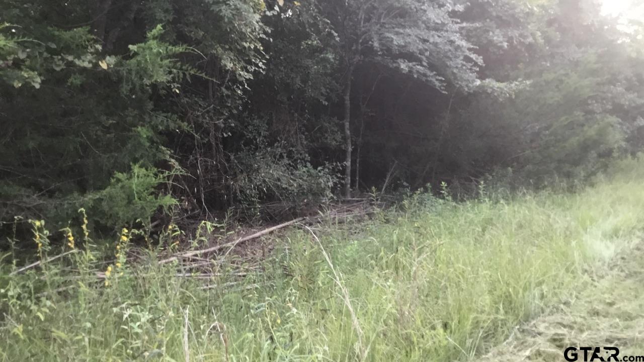 TBD County Road 4105