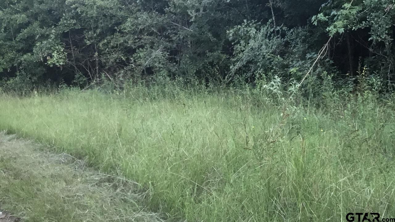 TBD County Road 4105