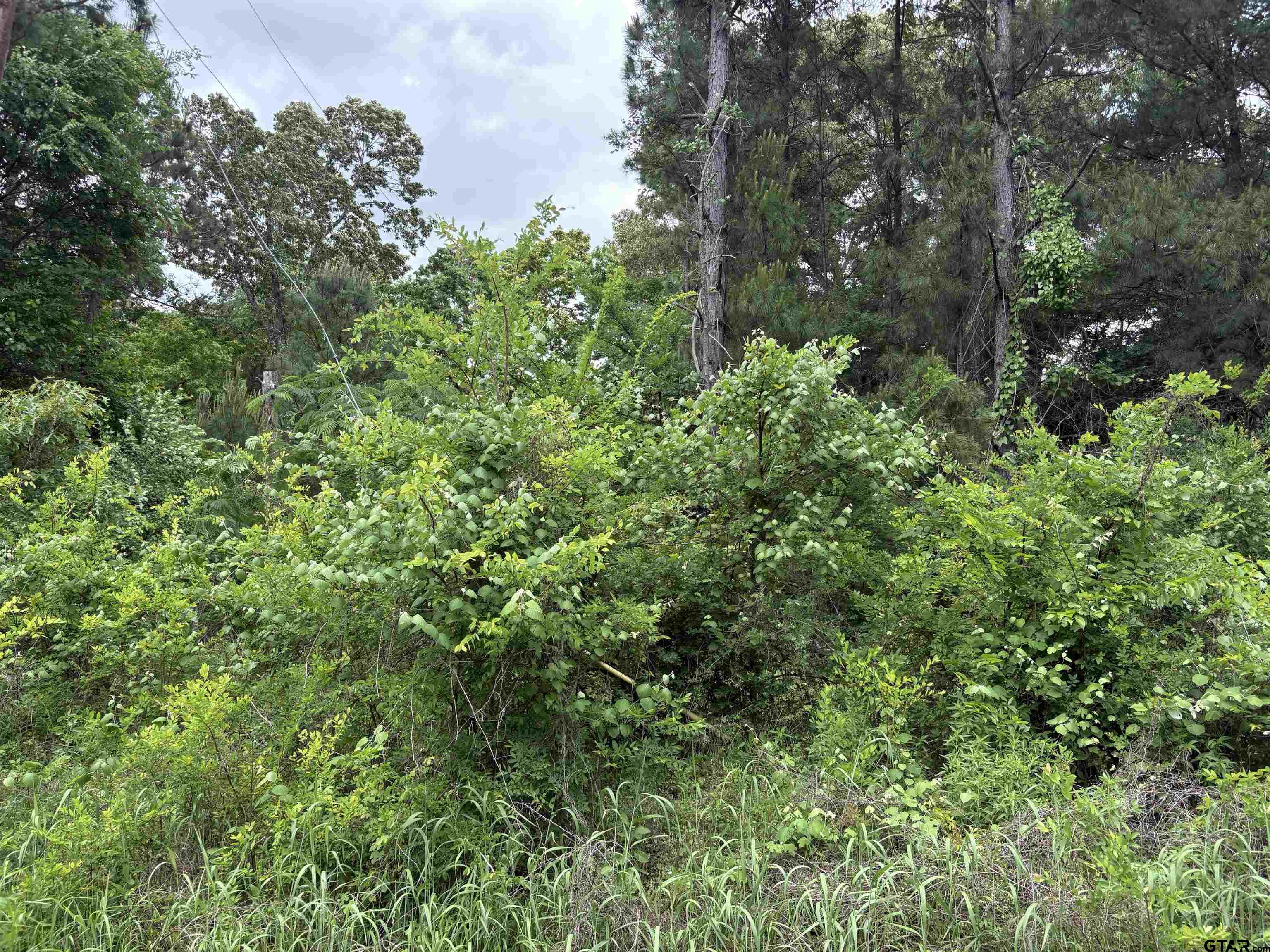 Bullard, Texas 75757, United States, ,Land,Active,119351