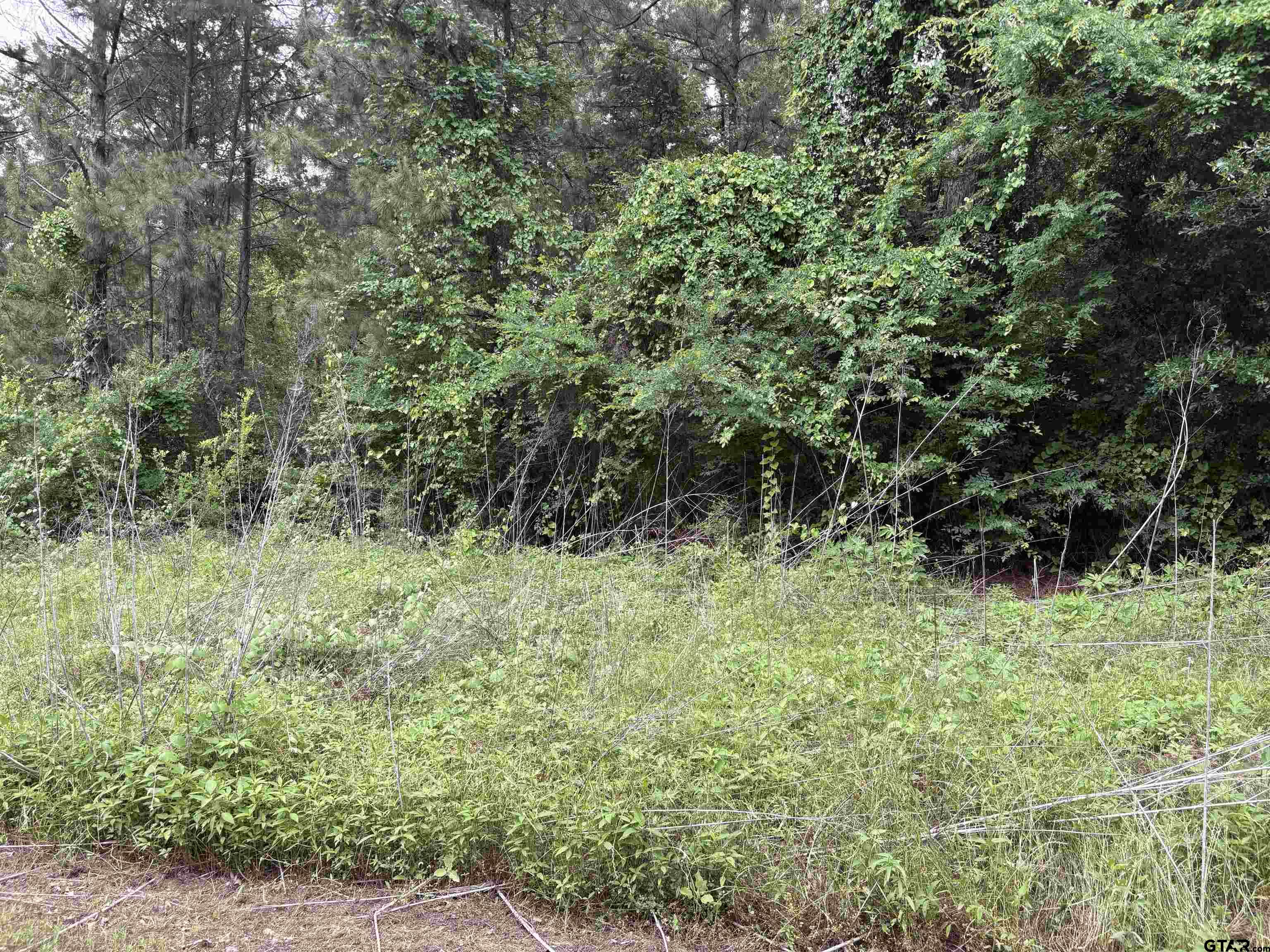 Bullard, Texas 75757, United States, ,Land,Active,119351