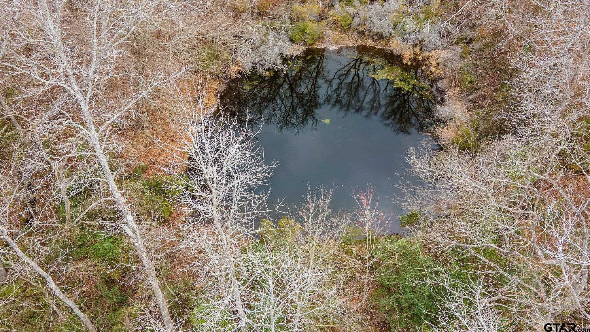 TBD County Road 4903