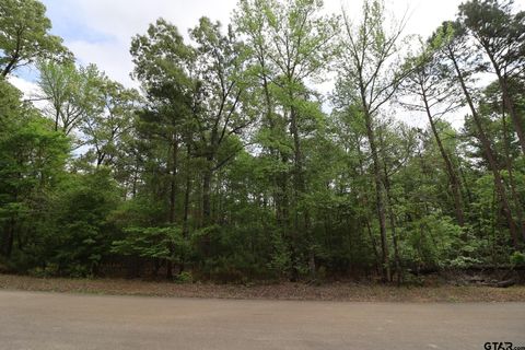 14624 Reserve Ct Tyler TX 75707