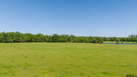 TBD 11.17 acres FM 856 Troup TX 75789