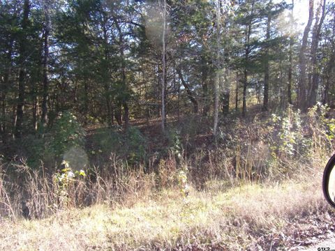 000 Woodcreek Drive Murchison TX 75778