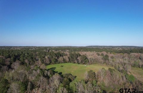 TBD N CR 143 San Augustine TX 75972