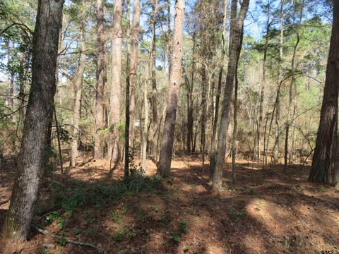 19904 Channel View dr. Flint TX 75762