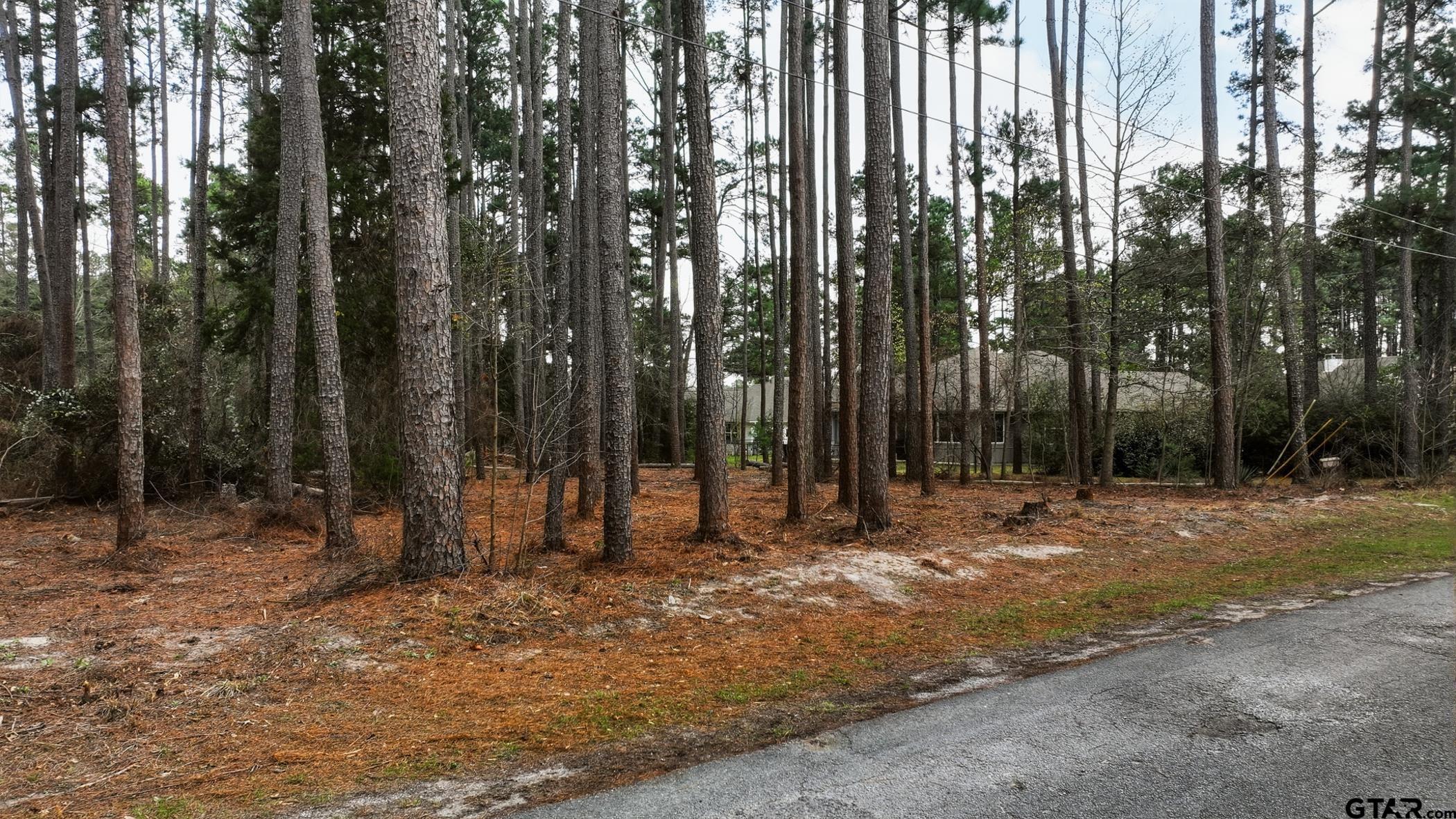 Lot 322 Section Pine Cone Glen