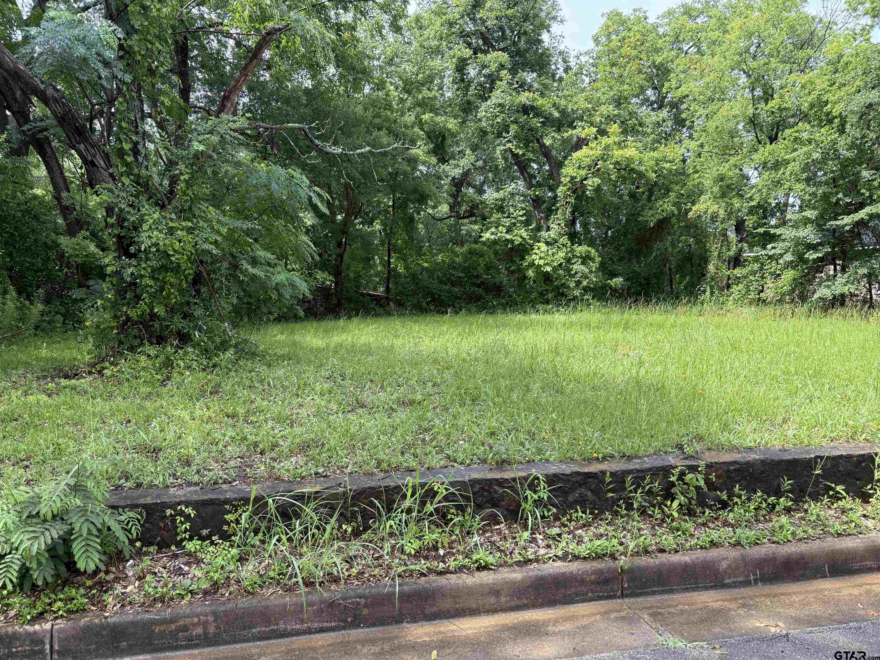 Tyler, Texas 75702, United States, ,Land,Active,149918