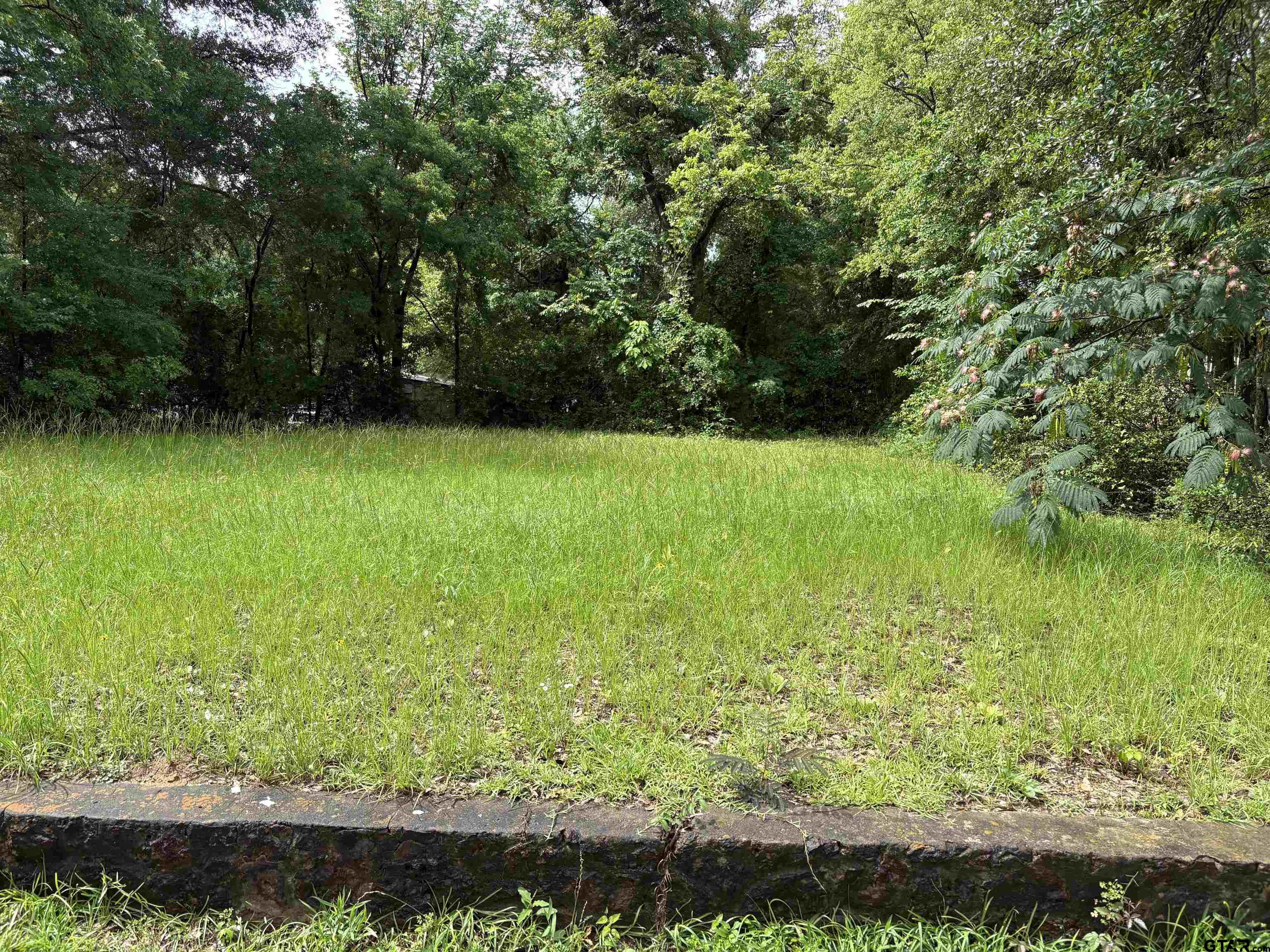 Tyler, Texas 75702, United States, ,Land,Active,149918