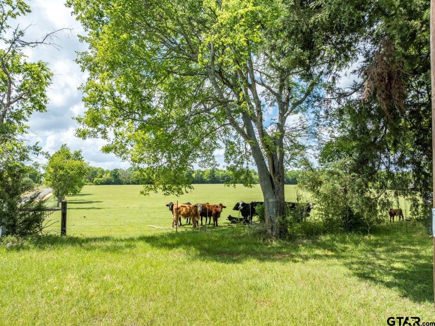 1695 County Road 3408