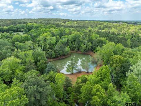 1695 County Road 3408 Jacksonville TX 75766