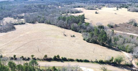 TBD FM 1272 Grapeland TX 75844