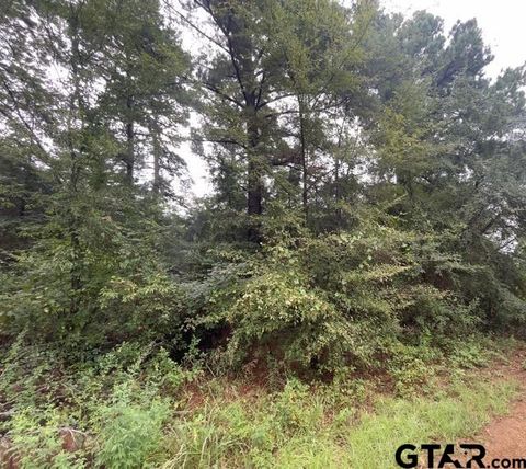 244 Sand Jack Drive Bullard TX 75757