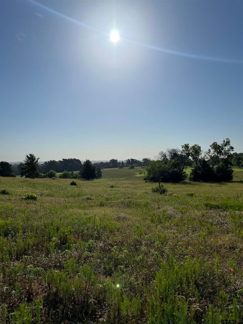 TBD E Centennial Tyler TX 75706