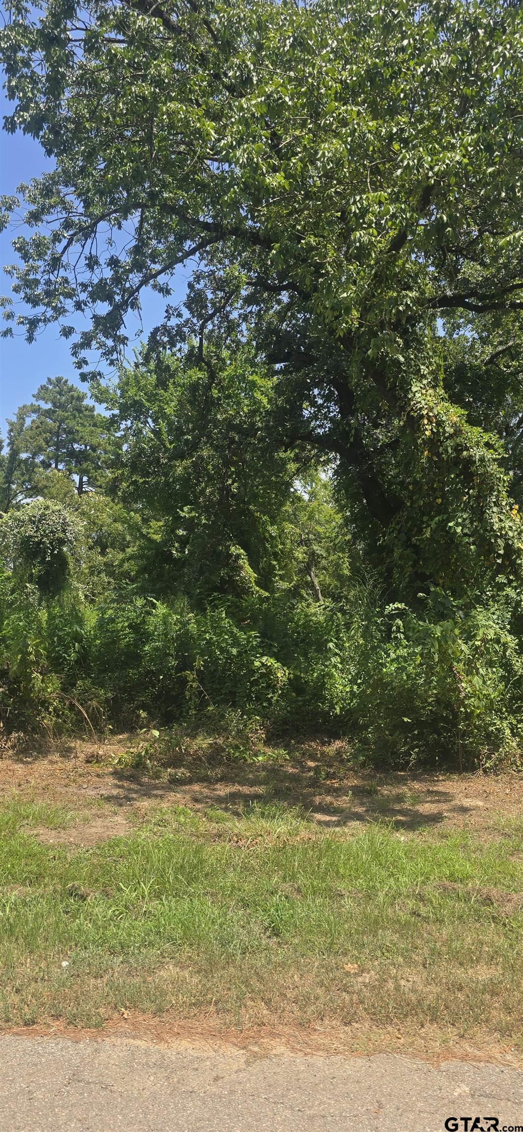 TBD Lot 1 Brierwood Drive