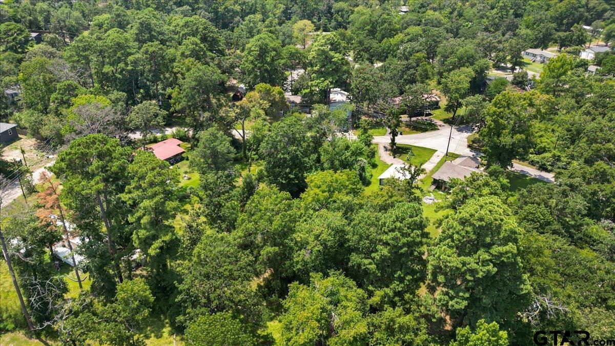 Photo 1 of 18 — TBD Lot 1 Brierwood Drive, Frankston, TX 75763