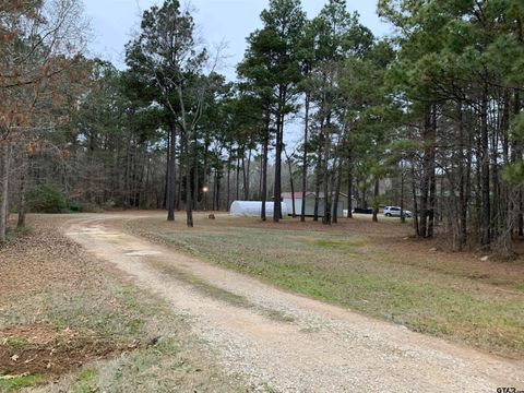 19598 County Road 2343, Troup, TX 75789 - MLS#: 25001271