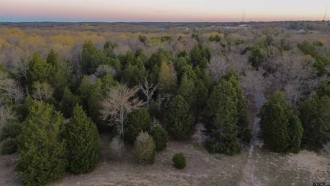 000 CR 1500 Athens TX 75751