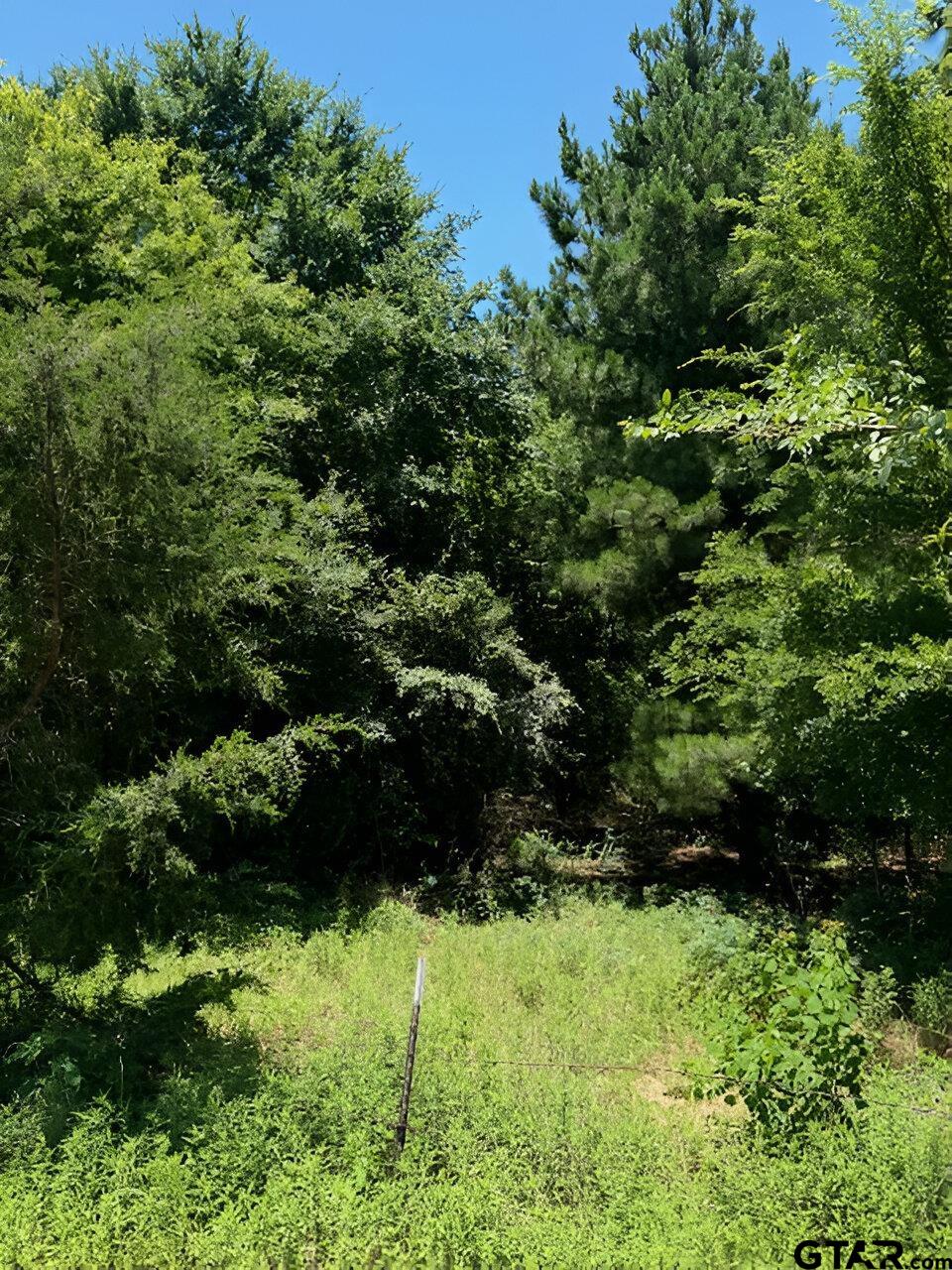 17728 E Farm to Market 346