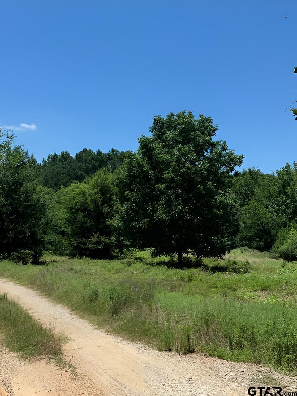 17728 E Farm to Market 346
