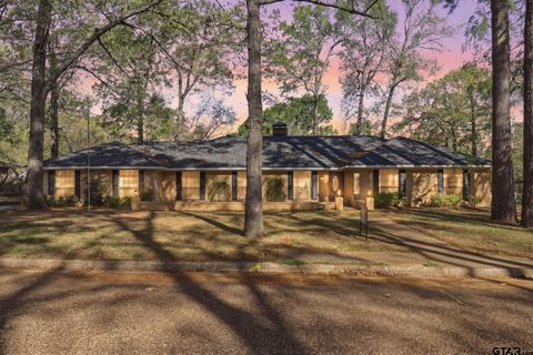 412 Nathan Dr Quitman TX 75783