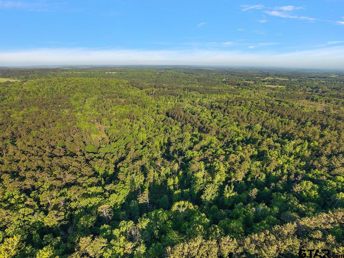 1305 Jackson Dr & TBD Hwy 110