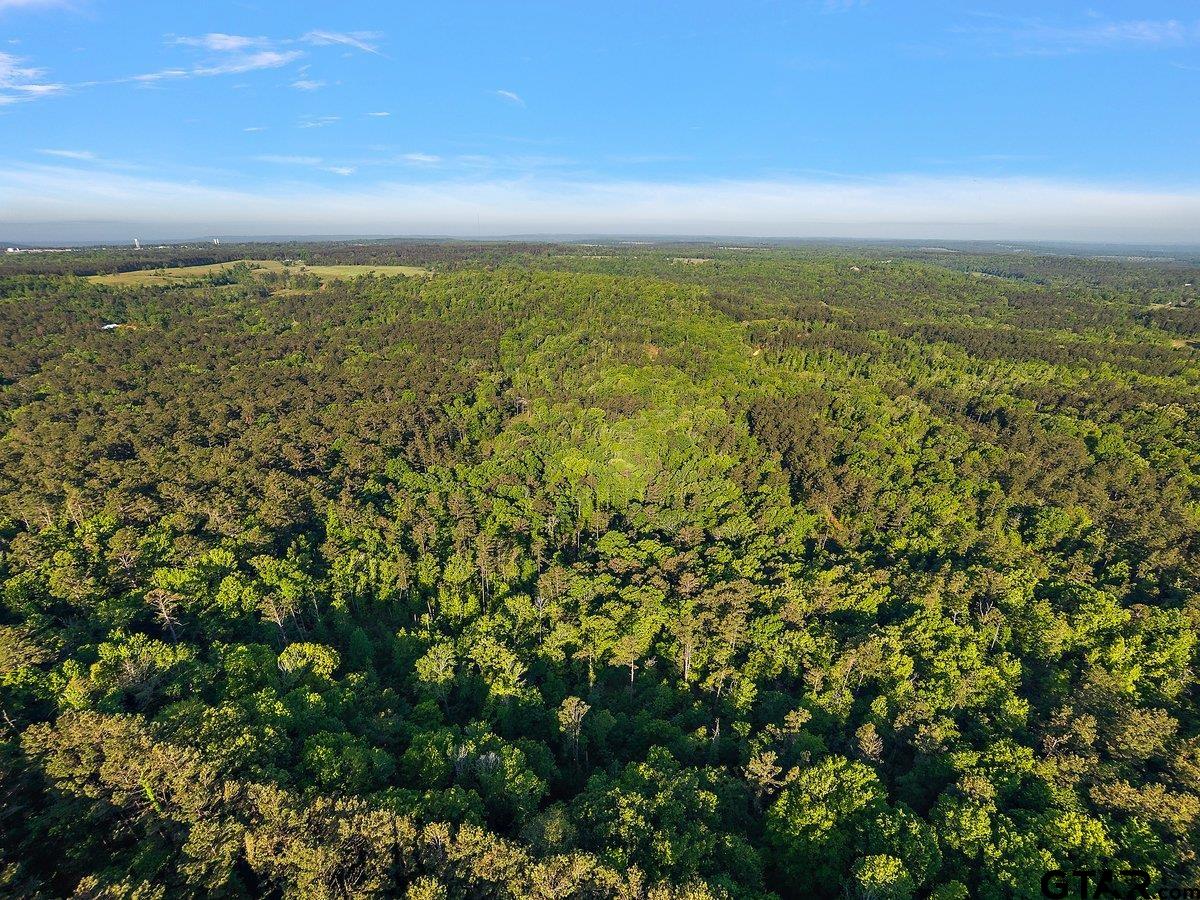 1305 Jackson Dr & TBD Hwy 110