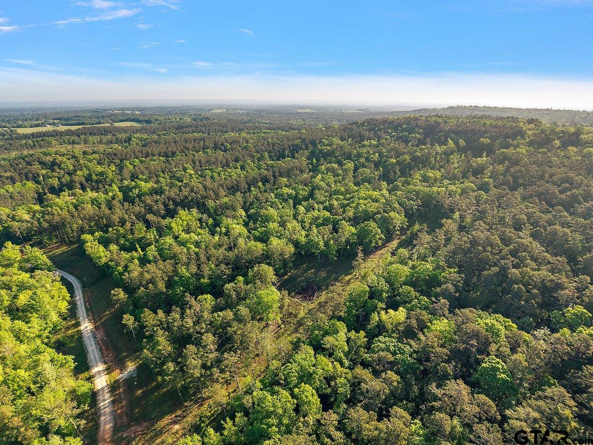 1305 Jackson Dr & TBD Hwy 110