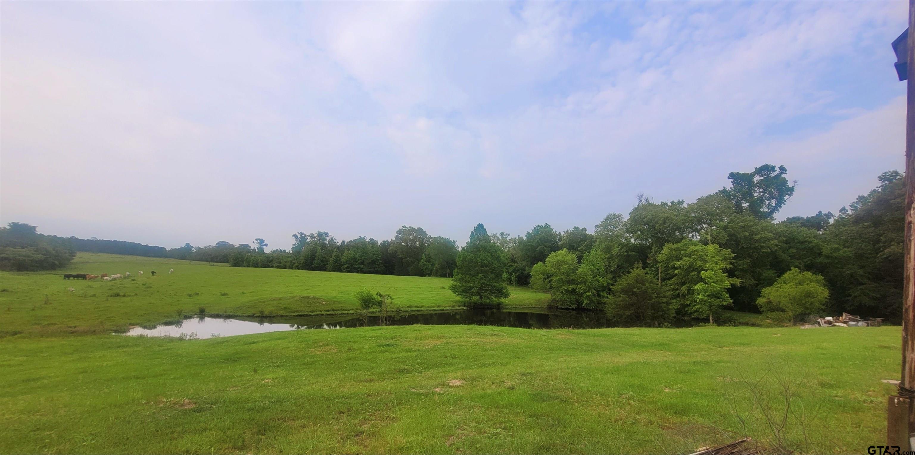 12299 W County Line