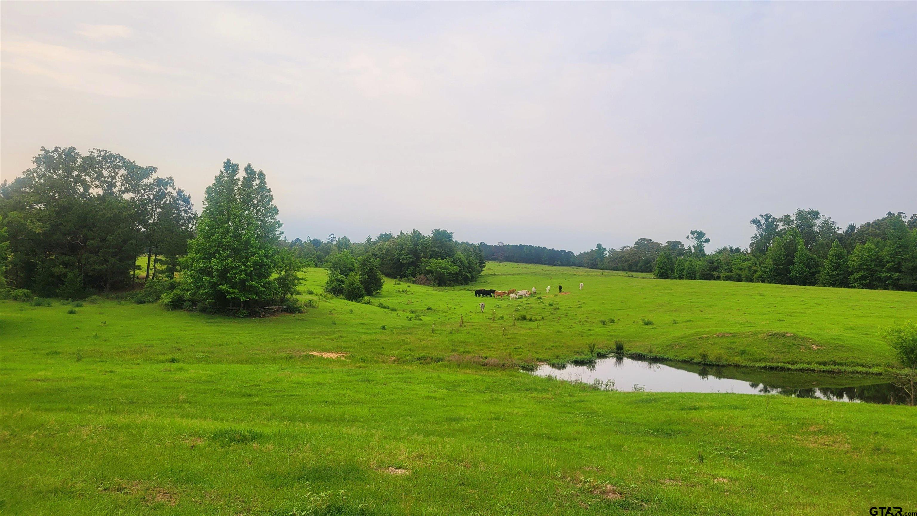 12299 W County Line