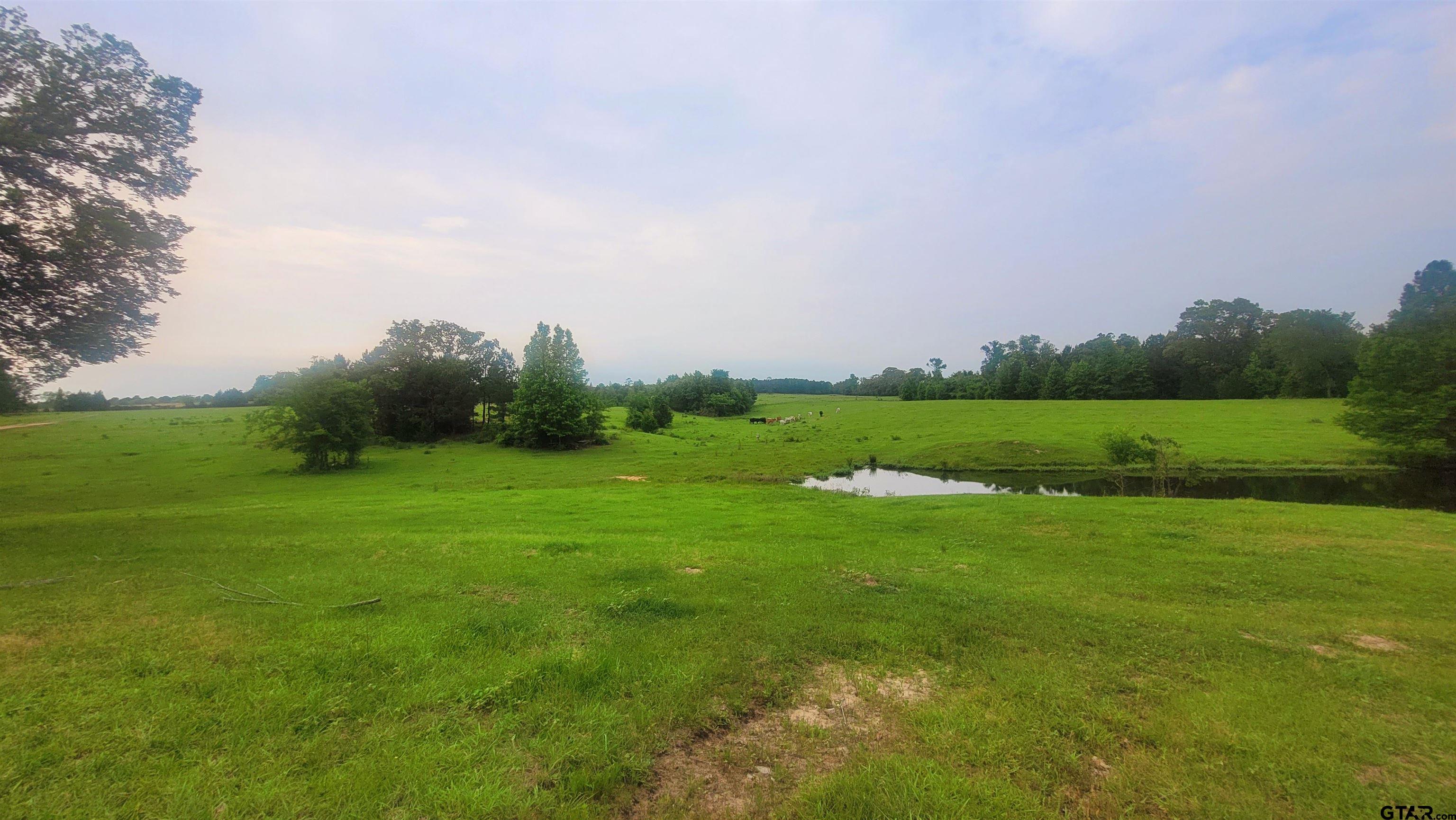 12299 W County Line