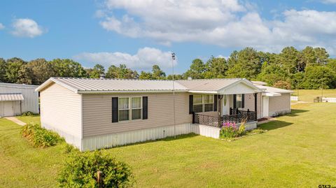 14608 FM 130 Hughes Springs TX 75656