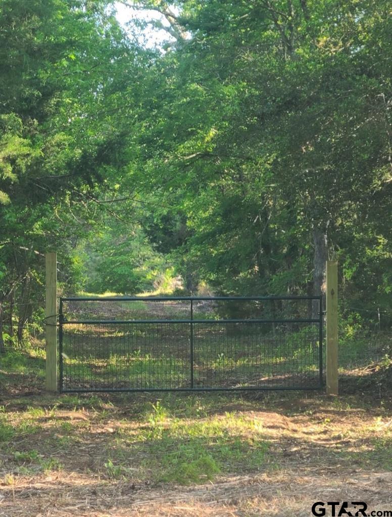 0 An County Road 441