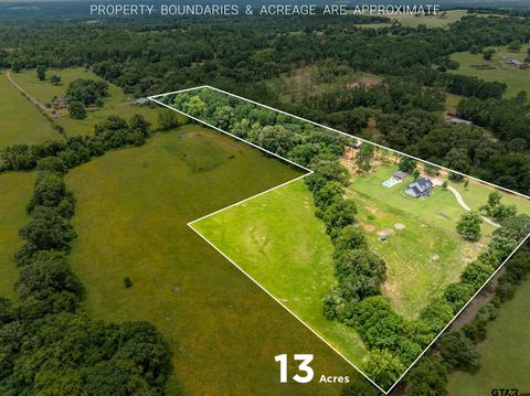 20850 CR 4226 Frankston TX 75763