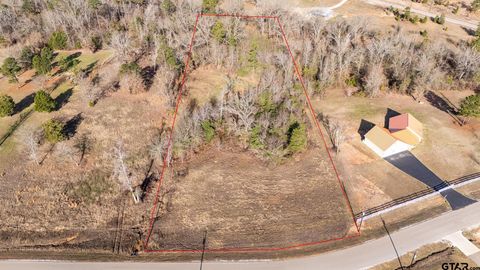 Lot 93 Ridgeline loop Winona TX 75792
