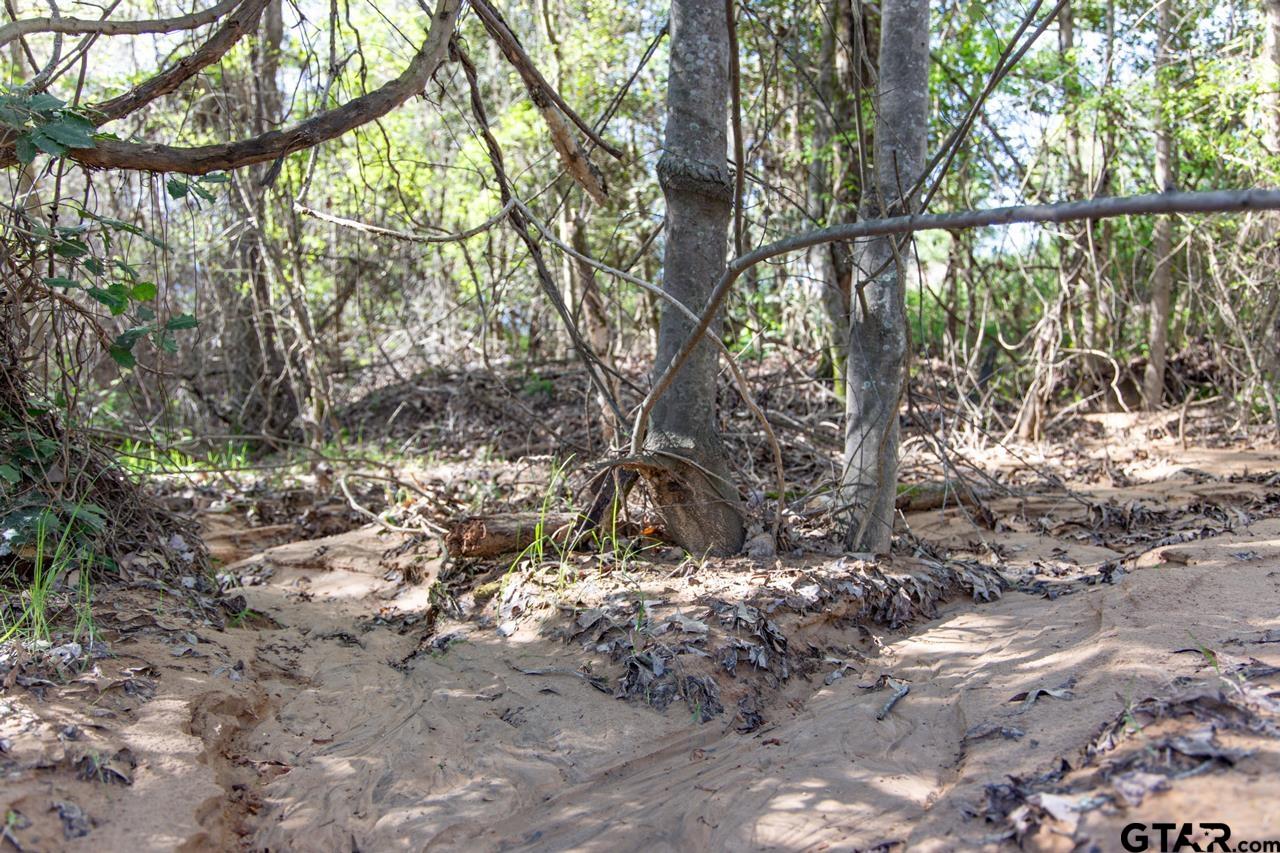 Lot 93 Ridgeline loop