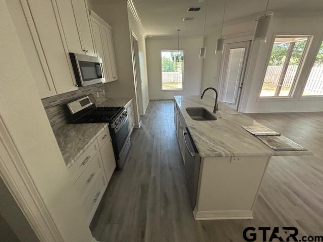 1806 Josh Drive