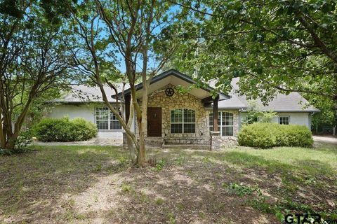 14094 CR 192 Tyler TX 75703