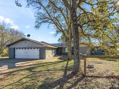 8090 CR 4528 Palestine TX 75803