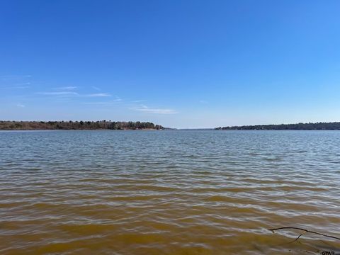 LOT 14 County Road 4396 Scroggins TX 75480