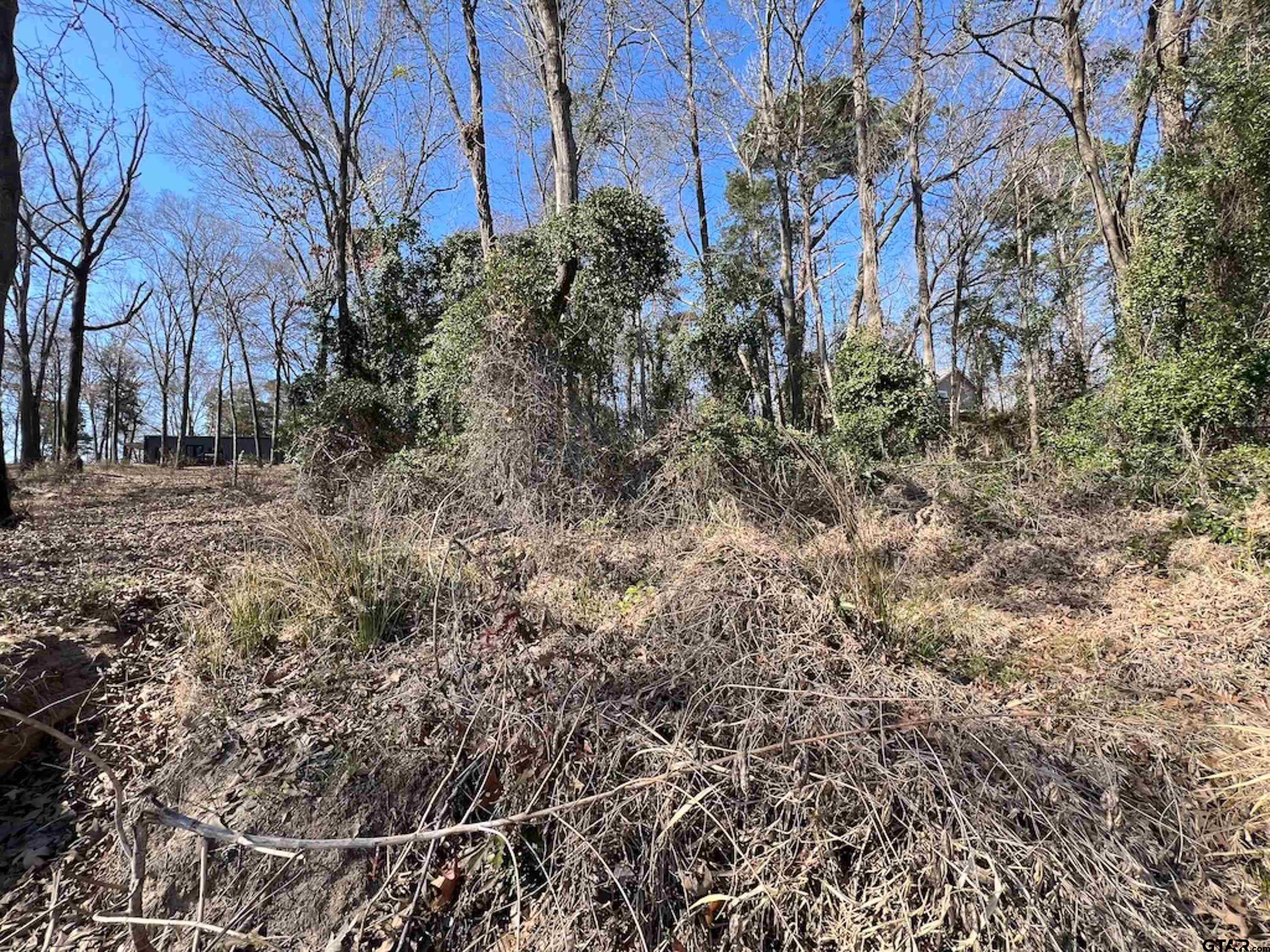 LOT 14 County Road 4396