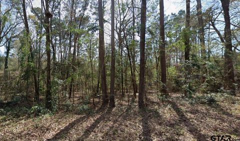 TBD Ashwood Dr. #Lot 204 Gilmer TX 75645