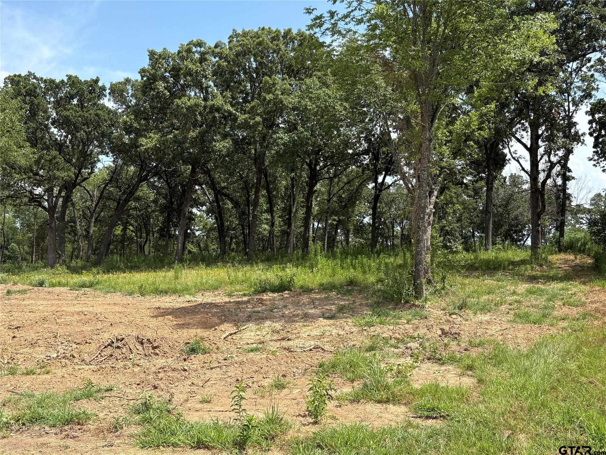 579 County Road 1843